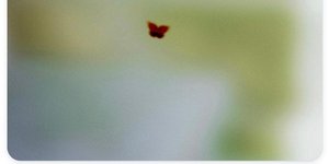 Thumbnail of notes on freedom