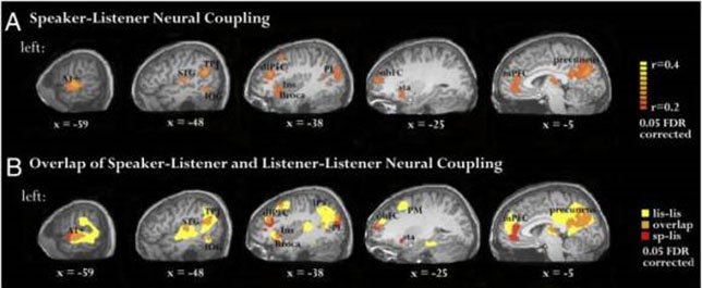 Thumbnail of The Science of Storytelling