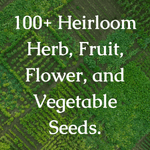 Thumbnail of Heirloom Seeds Delivered from the Farm to You