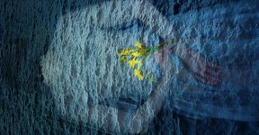 Thumbnail of Poem: Catastrophe Is Next to Godliness