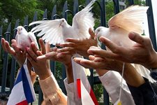 Thumbnail of Morality Is the Enemy of Peace