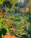 Thumbnail of 🌀 What if a more regenerative world isn’t built— but released? We often… | Thomas Klaffke | 128 comments