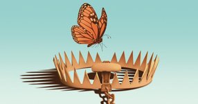 Thumbnail of The Three Traps That Stymie Reinvention