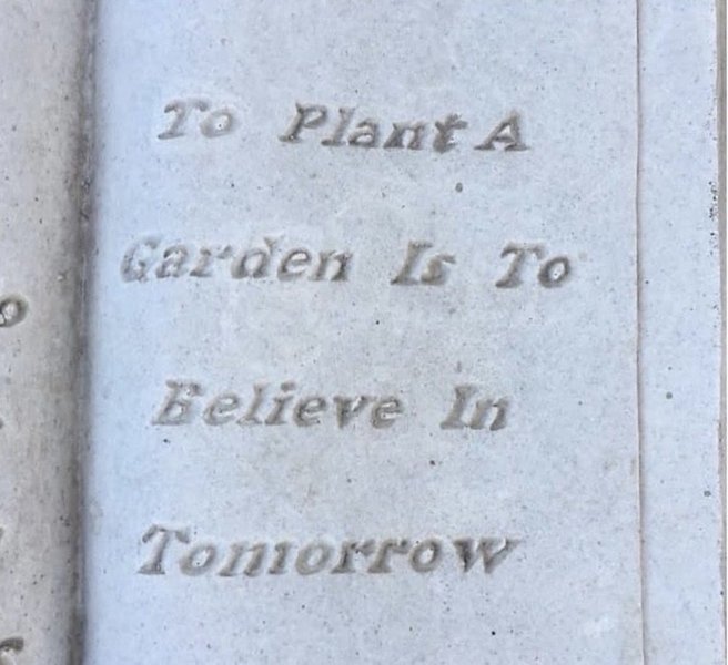 Thumbnail of 💭 On energy, uniting with beauty & planting a garden