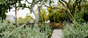 Thumbnail of Garden Anarchy in L.A. - Wonderground