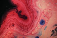 Thumbnail of Poetic Science: Unveiling Truth Through Art | ReNew Business | Business Strategy| Creative Leadership |