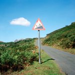Thumbnail of How to Take the High Road