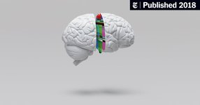 Thumbnail of The Human Brain Is a Time Traveler