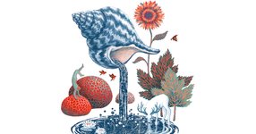 Thumbnail of I Feel, Therefore I Understand: Humboldt on the Essence of Science and How to Read the Poetry of Nature