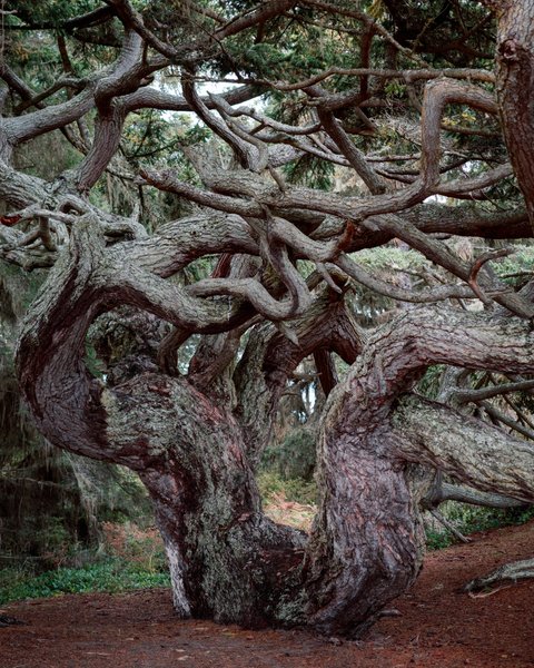 Thumbnail of Home | Substack