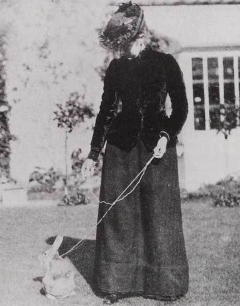 Thumbnail of Tumblr Dashboard