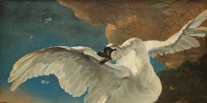 Thumbnail of The fantasy of independence