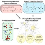 Thumbnail of ScienceDirectScienceDirect