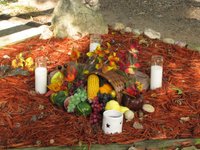Thumbnail of The Origins and Practices of Mabon