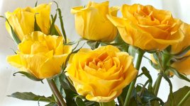 Thumbnail of The Power Of Grieving — Even If By Proxy