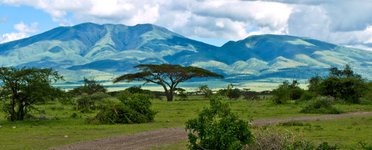 Thumbnail of ECOSYSTEM STRATEGY – ECOSYSTEMATIC