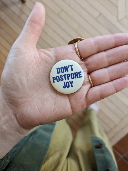 Thumbnail of Don't postpone joy