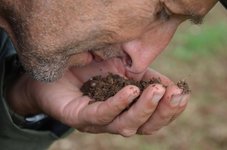 Thumbnail of Bioregioning: Regenerative Approach to Place • Bioregional Learning Centre