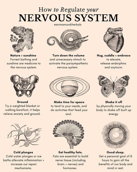 Thumbnail of Found on Cosmos