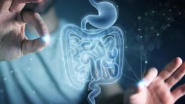 Thumbnail of MIT discovers amino acid that helps the gut heal itself