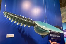 Thumbnail of 古生代の奇妙な生物の化石が続々、驚きの国モロッコ（三上智之／古生物学者）