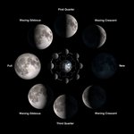 Thumbnail of Phases of the Moon - NASA Science