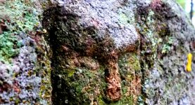 Thumbnail of 青銅器時代の石の彫刻で謎の人間の顔が発見される