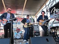 Thumbnail of Frightened Rabbit