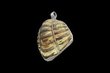 Thumbnail of 古代ローマ人が三葉虫の化石をアクセサリーに加工か、初の発見