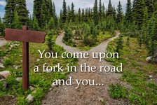 Thumbnail of What Would You Choose? - By Ron Vitale