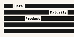 Thumbnail of The Path to Data Maturity