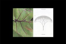 Thumbnail of Design direction by Actual Source for Atmos Magazine Volume 11: MICRO/MACRO. “Our universe is an endless series of worlds within worlds. From the molecular ones we carry to the vastness...