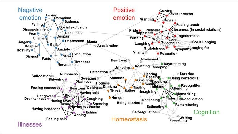 Thumbnail of Mapping Emotions in the Body: A Finnish Neuroscience Study Reveals Where We Feel Emotions in Our Bodies