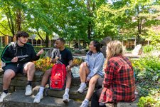 Thumbnail of Postsecondary Transformation in Action
