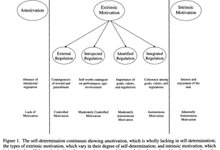 Thumbnail of Intrinsic Motivation: a deep dive