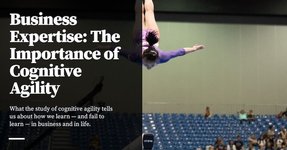 Thumbnail of Business Expertise: The Importance of Cognitive Agility