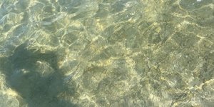 Thumbnail of From the Outside, You Look Great