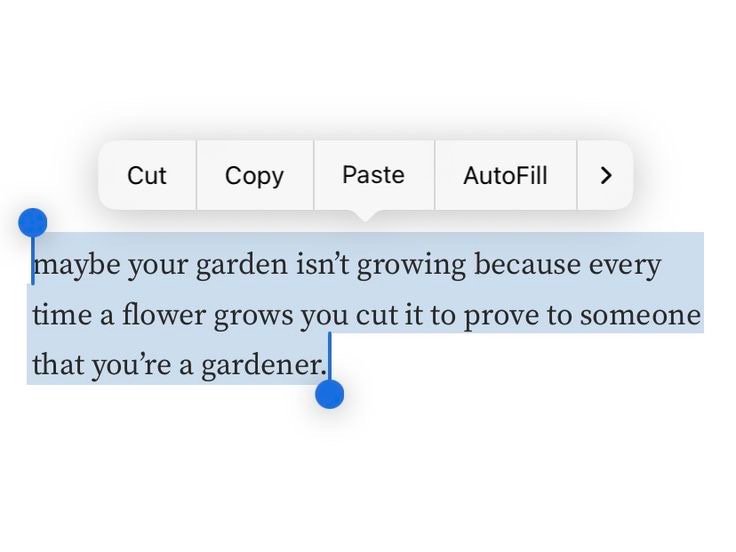Thumbnail of Home | Substack