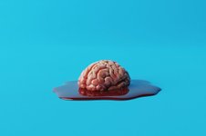 Thumbnail of How Too Much Information Can Make Us Stupid and Miserable