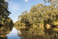 Thumbnail of The Australian river legally recognised as a ‘living entity’ - Australian Geographic