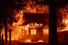 Thumbnail of A COLLECTIVE GUIDE TO SURVIVING CLIMATE COLLAPSE
