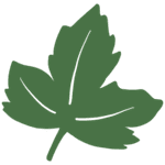 Thumbnail of Vibrant, Whole Food Recipes