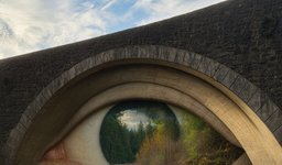 Thumbnail of Romantic Imagination and the Recovery of Nature’s Intrinsic Value