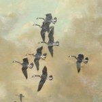 Thumbnail of “Why Bother” by Sean Thomas Dougherty