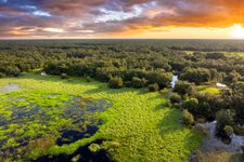 Thumbnail of Why we need to quit 'fixing' the world: A cybernetic approach to planetary challenges