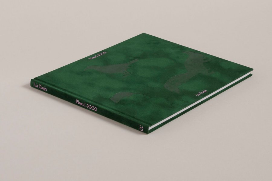 Thumbnail of Plates I-XXXI « Chose Commune