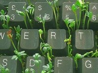 Thumbnail of Digital Garden Digest: Cultivating Intentional Online Spaces