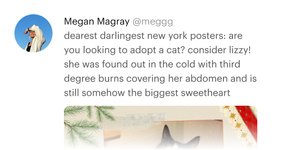 Thumbnail of Megan Magray on Posts