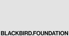 Thumbnail of Protostars | Blackbird Foundation's Early-Stage Founder Community