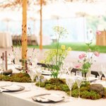 Thumbnail of 30 Moss Wedding Ideas For Decor Inspired by Nature